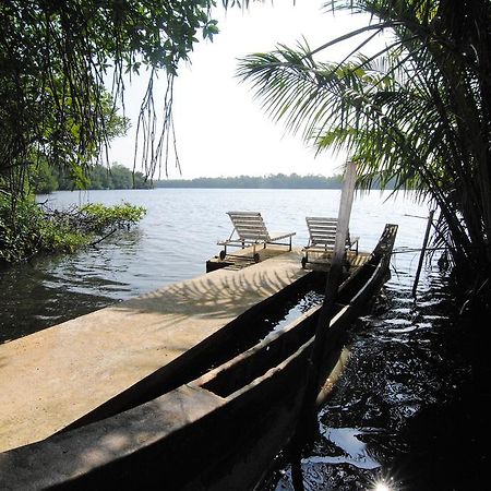 Mangrove Villa - Bentota River Εξωτερικό φωτογραφία